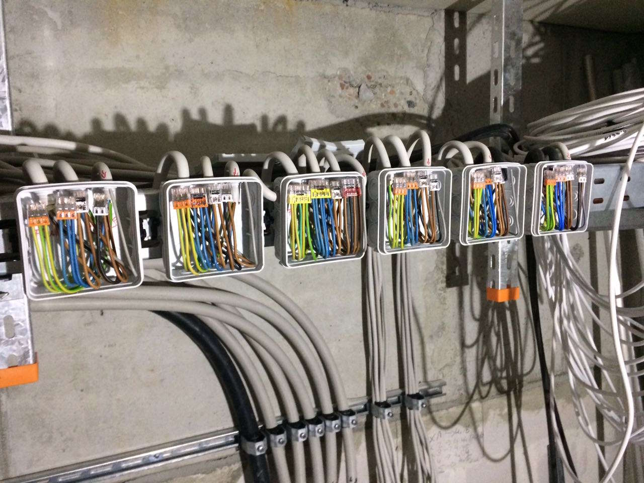 Sechs offene Elektroverteilerdosen mit farbigen Drähten und Kabeln an einer Betonwand